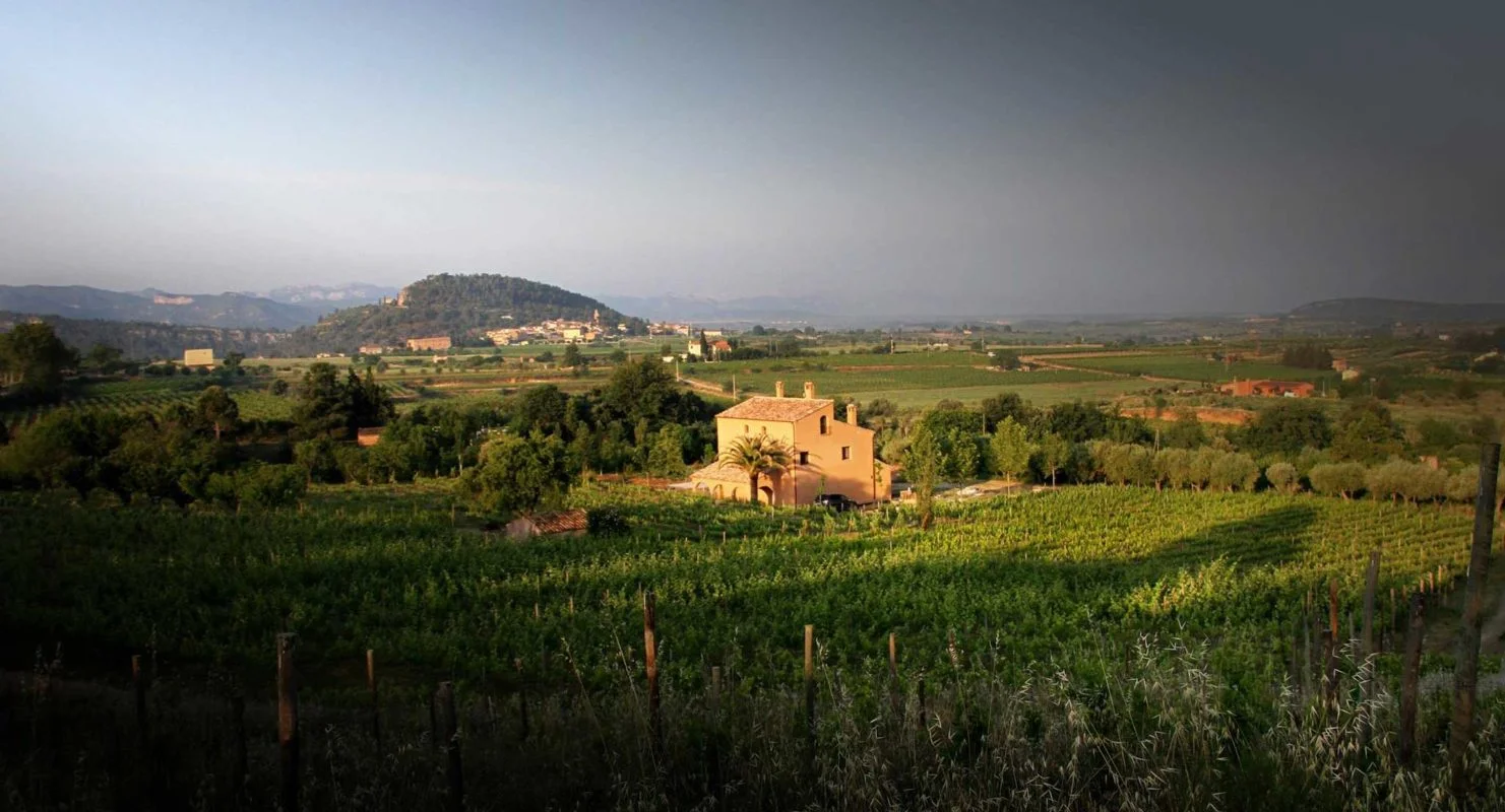 DO-Montsant-Clos-Mesorah-enoguia-01-1481x800