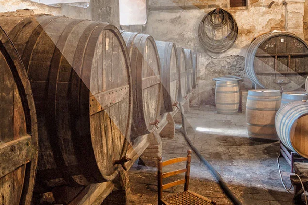 DO-Priorat-Celler-Cal-Pla-Porrera-enoguia-00