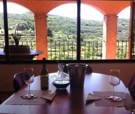 Ficaria Vins La Figuera Enoguia 05