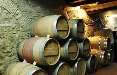 Bodega Genium Celler