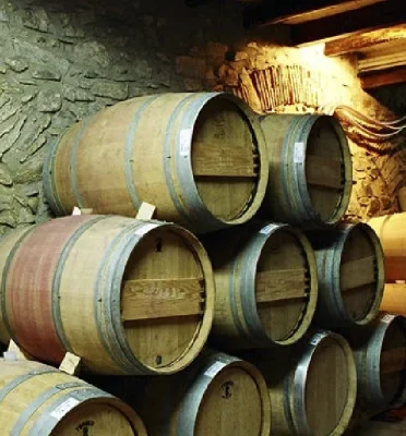 Bodega Genium Celler