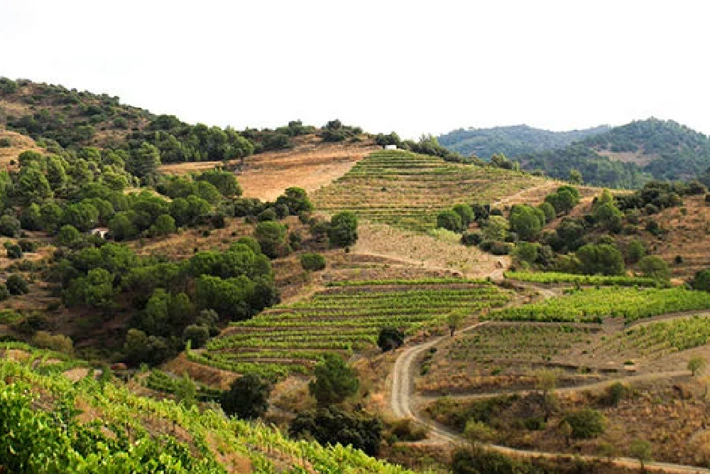 Priorat-Hidalgo-Albert-Poboleda-3-e1505327555657