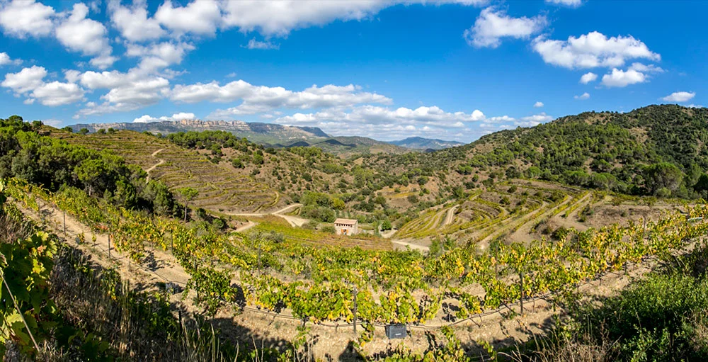burgos-porta-priorat-enoguia-00