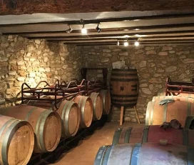 Celler Manxol Rasquera