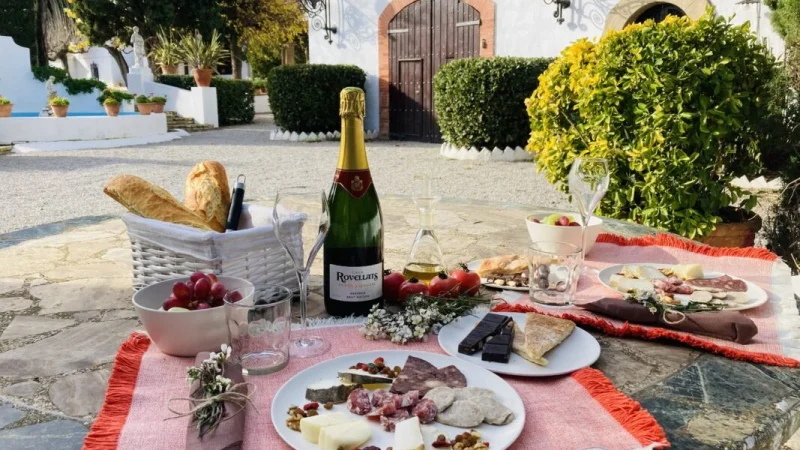 Cava-rovellats-do-penedes-enoguia-01